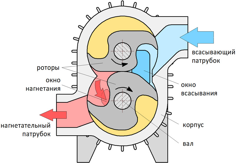 Конструктивная схема когтевого вакуумного насоса с двузубыми роторами