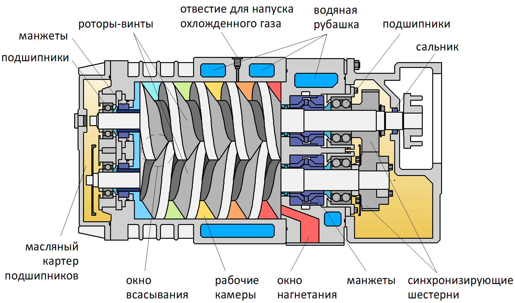 Конструктивная схема винтового вакуумного насоса